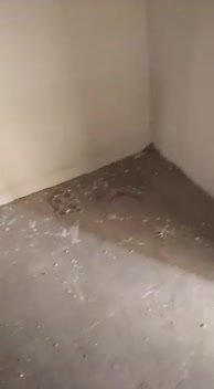/2026-08-06 19-00/VID-20231206-WA0066.mp4