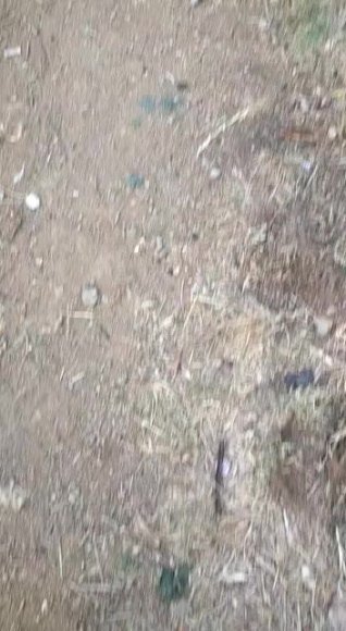 /2025-12-16 20-43/গোপনে অন্যের বউকে .mp4